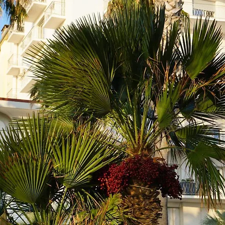 Et Jardin En Centre Апартаменты